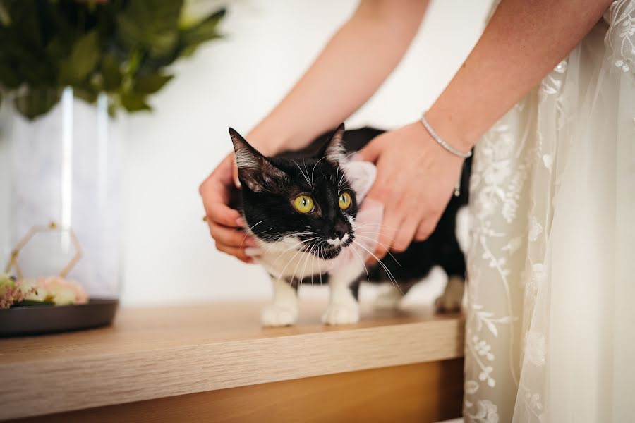 Fotografo di matrimoni Kamil Turek (kamilturek). Foto del 22 giugno 2023