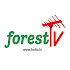 FOREST TV -  All Africa's TV Channels & Videos4.9.27