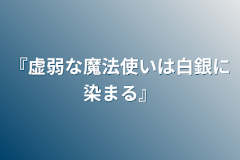 『虚弱な魔法使いは白銀に染まる』