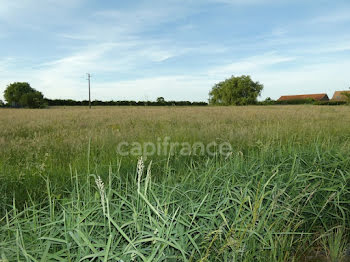 terrain à Chalon-sur-saone (71)