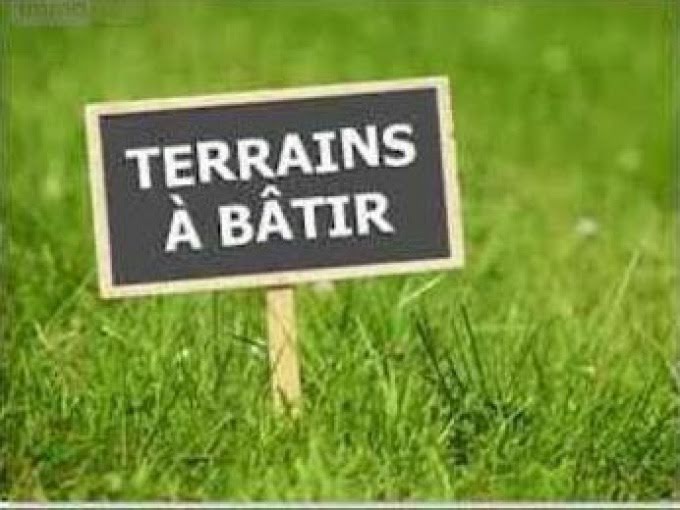 Vente terrain  702 m² à Langeais (37130), 79 500 €