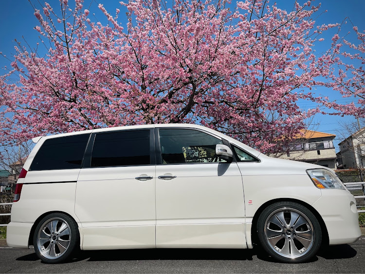ノアの桜とコラボ・ドライブ・出会いと別れの季節・60だって、まだまだに関するカスタム事例の投稿画像3枚目