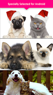 How to install Cats & Dogs HD Wallpapers lastet apk for android