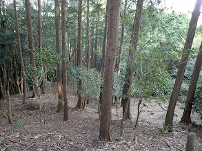 右（北）斜面に作業跡