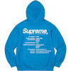 worldwide hooded sweatshirt ss23