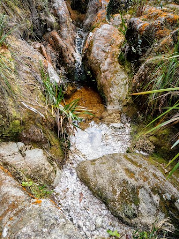 Mount Tahan Bukit Botak water source