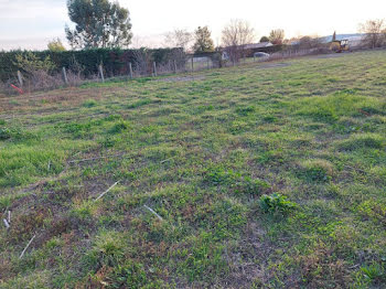 terrain à Castelginest (31)