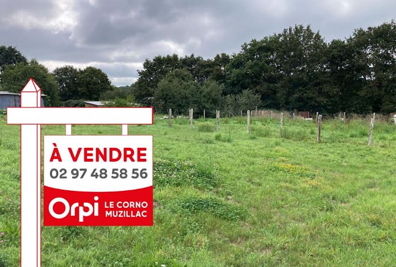  Vente Terrain à bâtir - à Péaule (56130) 