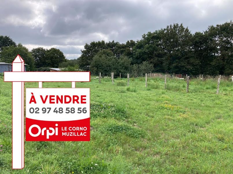 Vente terrain à batir  1840 m² à Péaule (56130), 79 600 €