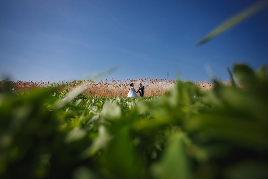 Photographe de mariage Andrey Cheban (andreycheban). Photo du 18 mai 2017