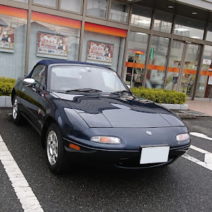 ロードスター NA8C