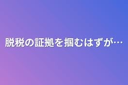 脱税の証拠を掴むはずが…