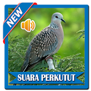 Mp3 Suara Burung Perkutut  Icon