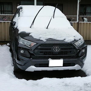 RAV4 AXAH52