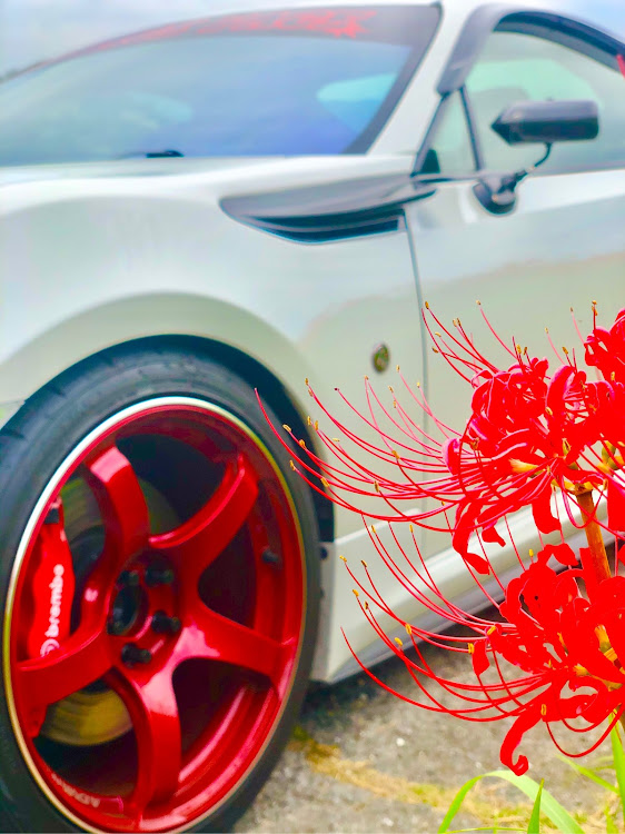 86のスパシャン ❤️・シャインゴースト・ADVAN Racing TC4・彼岸花とコラボに関するカスタム事例の投稿画像3枚目