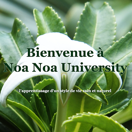 NoanNoa University