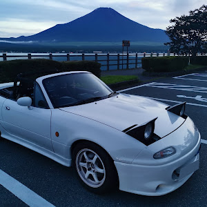 ロードスター NA8C