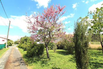 terrain à Albi (81)