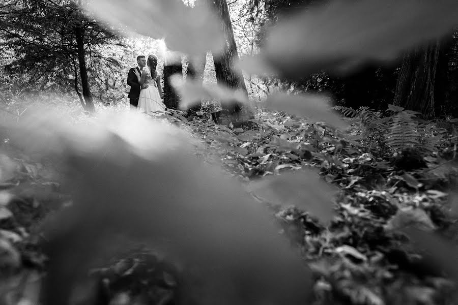 Fotografo di matrimoni Iryna Tomchuk (tiryna). Foto del 31 gennaio 2023