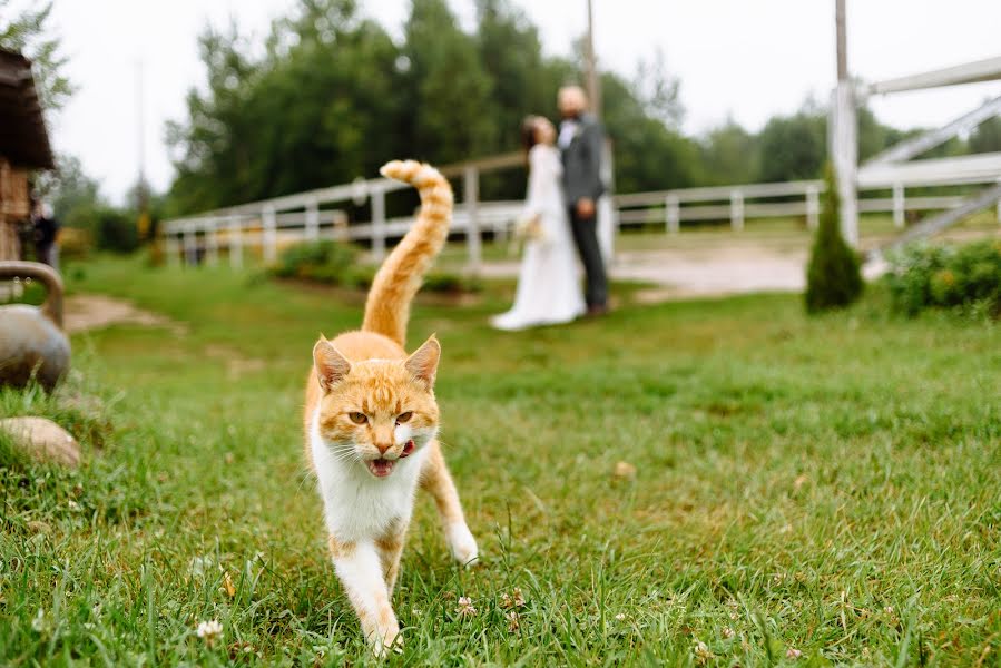 Jurufoto perkahwinan Aleksandr Kuzmin (kyzmin). Foto pada 9 Ogos 2021