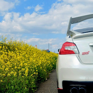WRX S4 VAG