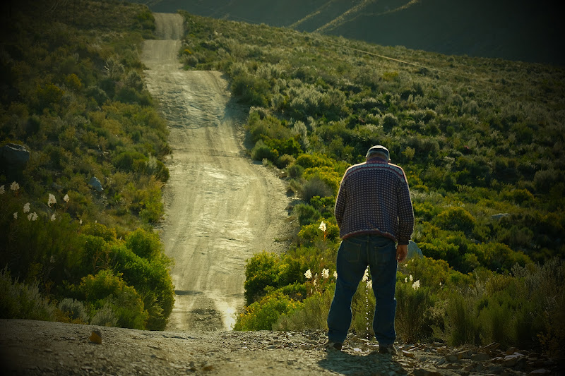 La natura ed i suoi abitanti - South Africa - Karoo - Die Hel. di FANTASY