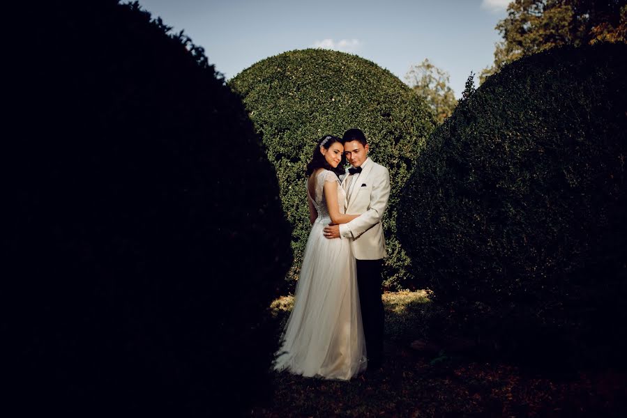 結婚式の写真家Stefan Marin (stefanmarin)。2018 2月9日の写真