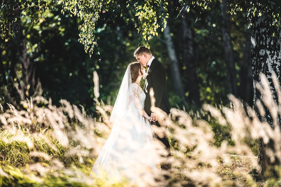 Wedding photographer Gennadiy Panin (panin). Photo of 17 December 2015