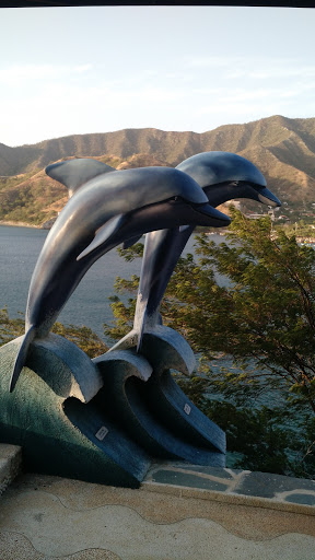 DELFINES TAGANGA