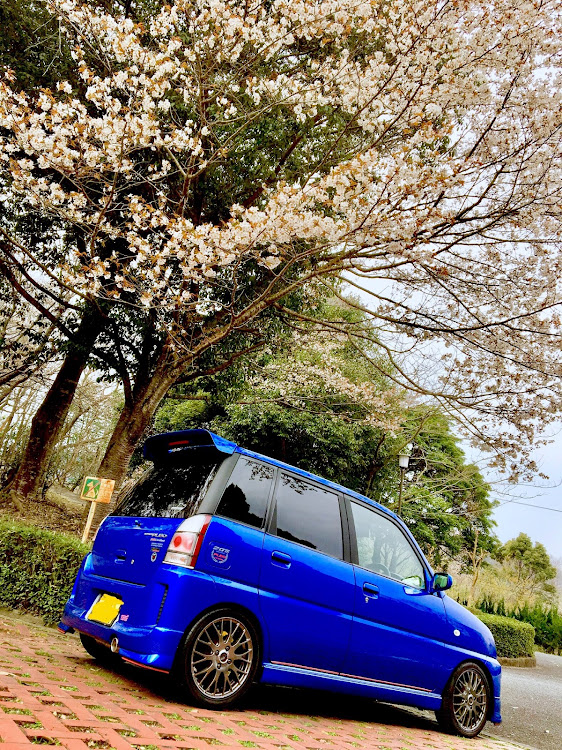 プレオの桜🌸コラボ・スマホ撮影・加工しまくりに関するカスタム事例の投稿画像2枚目