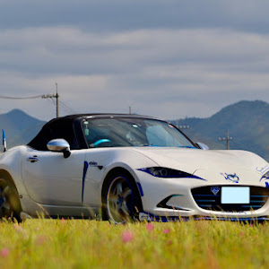 ロードスター ND5RC