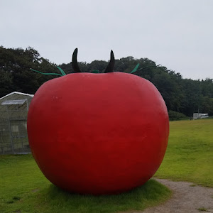 ヴォクシー