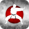 Karate Training - Videos icon