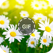 Flower Gifs  Icon