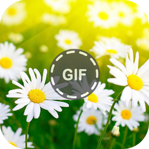 Download Flower Gifs For PC Windows and Mac