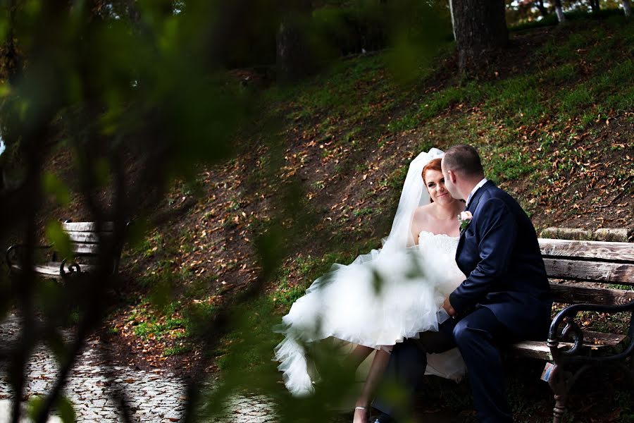 Fotógrafo de casamento Alida Boari (boari). Foto de 14 de fevereiro 2014