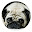 Pug HD New Tabs Popular Pets Themes