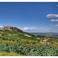 LA LANGA DI BAROLO di 