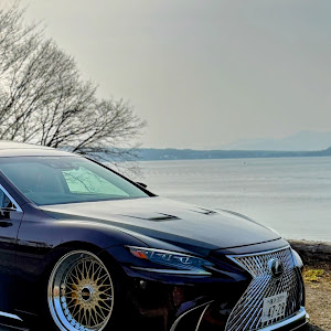 LS GVF50