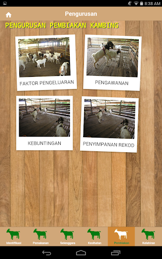 MARDI Tek. Kambing Pedaging