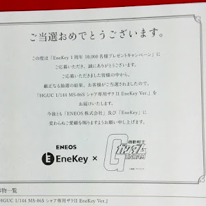 エリーゼ 111
