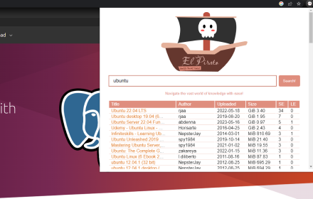 El Pirato - Quality Torrent Search Tool small promo image