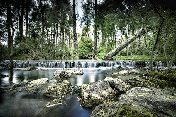 Silence di Salvoesse