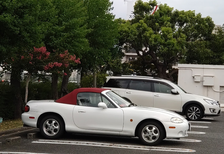 ロードスターのロードスターNB大好き♥・扇風機導入・写真撮られたら嬉しい・洗濯・ピザに関するカスタム事例の投稿画像10枚目