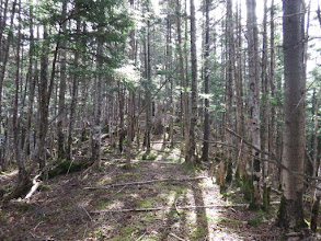 傾斜が緩み山頂間近