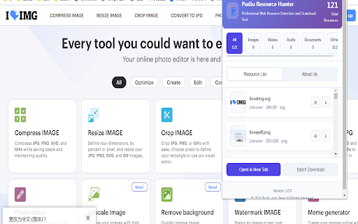 Pudiu Resource Hunter - Media Download Tool screenshot 1