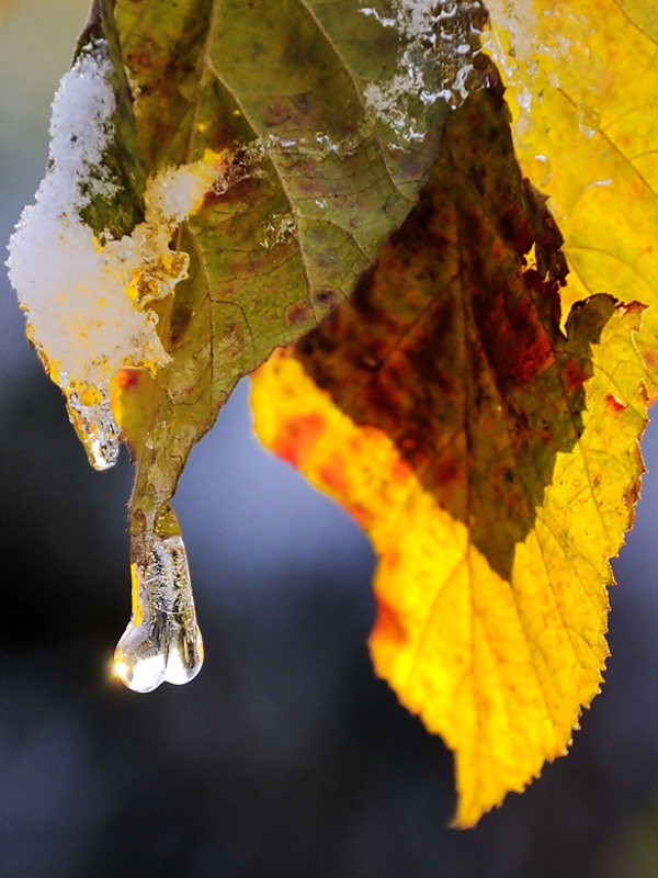 Il bacio della luce di www.fioregiallophoto.it