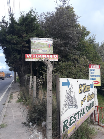 Campamento Vacacional De Futbol