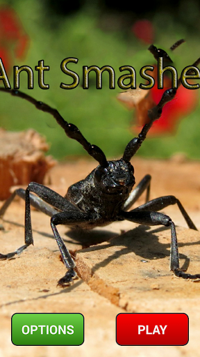 Ant Smash Funny