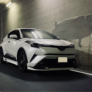 C-HR ZYX10